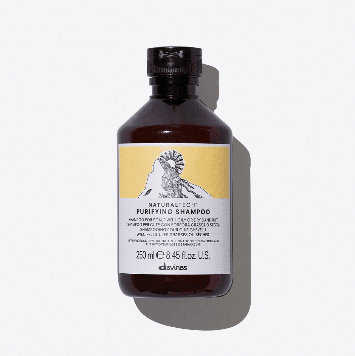 Шампунь проти лупи / Davines Purifying Shampoo (250 мл)